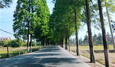 关于智能建造试点城市2023年度工作情况的通报