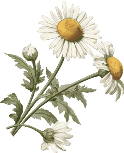 选对振动电机很关键！威猛 YZO 系列产品优势解读(图7)