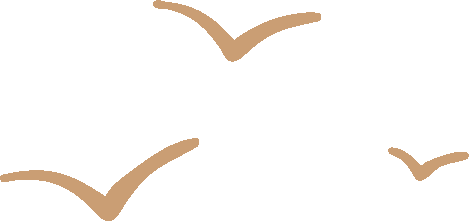 小萌系列新产品——蜘蛛机器人(图4)