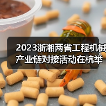 2023浙湘两省工程机械产业链对接活动在杭举行（图3）
