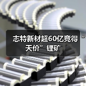 志特新材超60亿竞得“天价”锂矿（图2）