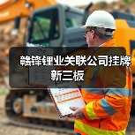 赣锋锂业关联公司挂牌新三板（图3）