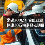 豪砸200亿！合盛硅业拟建20万吨多晶硅项目（图1）
