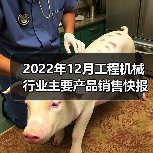 2022年12月工程机械行业主要产品销售快报(图4) 2022年12月工程机械行业主要产品销售快报(图4)