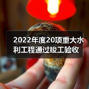 2022年度20项重大水利工程通过竣工验收(图1) 2022年度20项重大水利工程通过竣工验收(图1)