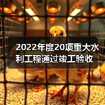 2022年度20项重大水利工程通过竣工验收(图4) 2022年度20项重大水利工程通过竣工验收(图4)