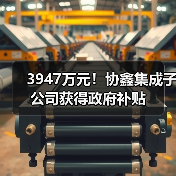 3947万元!协鑫集成子公司获得政府补贴(图2) 3947万元!协鑫集成子公司获得政府补贴(图2)