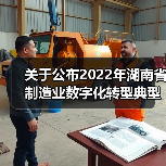 关于公布2022年湖南省制造业数字化转型典型应用场景名单的通知（图4）
