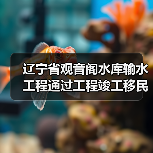 辽宁省观音阁水库输水工程通过工程竣工移民安置终验(图3) 辽宁省观音阁水库输水工程通过工程竣工移民安置终验(图3)