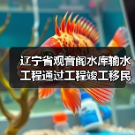 辽宁省观音阁水库输水工程通过工程竣工移民安置终验(图1) 辽宁省观音阁水库输水工程通过工程竣工移民安置终验(图1)