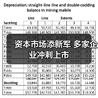 资本市场添新军 多家企业冲刺上市（图4）