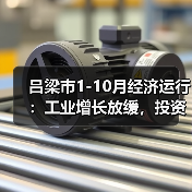 吕梁市1-10月经济运行:工业增长放缓,投资消费双增(图3) 吕梁市1-10月经济运行:工业增长放缓,投资消费双增(图3)