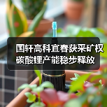 国轩高科宜春获采矿权 碳酸锂产能稳步释放(图4) 国轩高科宜春获采矿权 碳酸锂产能稳步释放(图4)