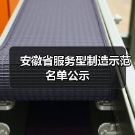 安徽省服务型制造示范名单公示(图4) 安徽省服务型制造示范名单公示(图4)