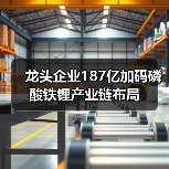 龙头企业187亿加码磷酸铁锂产业链布局（图4）