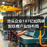 龙头企业187亿加码磷酸铁锂产业链布局（图2）
