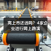 离上市还远吗?4家企业进行网上路演(图1) 离上市还远吗?4家企业进行网上路演(图1)