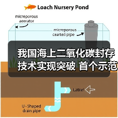 我国海上二氧化碳封存技术实现突破 首个示范工程投用(图4) 我国海上二氧化碳封存技术实现突破 首个示范工程投用(图4)