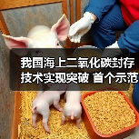 我国海上二氧化碳封存技术实现突破 首个示范工程投用(图2) 我国海上二氧化碳封存技术实现突破 首个示范工程投用(图2)