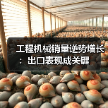 工程机械销量逆势增长:出口表现成关键(图3) 工程机械销量逆势增长:出口表现成关键(图3)