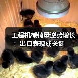 工程机械销量逆势增长:出口表现成关键(图4) 工程机械销量逆势增长:出口表现成关键(图4)