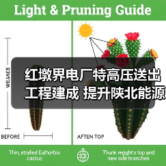 红墩界电厂特高压送出工程建成 提升陕北能源输送能力(图3) 红墩界电厂特高压送出工程建成 提升陕北能源输送能力(图3)