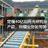 定增40亿加码光伏钨丝产能,钨钼业务如何领跑(图3) 定增40亿加码光伏钨丝产能,钨钼业务如何领跑(图3)