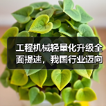 工程机械轻量化升级全面提速,我国行业迈向智能制造新阶段(图2) 工程机械轻量化升级全面提速,我国行业迈向智能制造新阶段(图2)