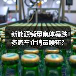 新能源销量集体暴跌!多家车企销量腰斩?(图4) 新能源销量集体暴跌!多家车企销量腰斩?(图4)