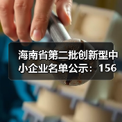 海南省第二批创新型中小企业名单公示:156家企业入选(图2) 海南省第二批创新型中小企业名单公示:156家企业入选(图2)