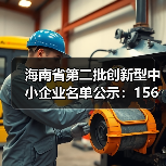 海南省第二批创新型中小企业名单公示:156家企业入选(图4) 海南省第二批创新型中小企业名单公示:156家企业入选(图4)
