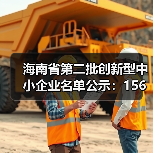 海南省第二批创新型中小企业名单公示:156家企业入选(图3) 海南省第二批创新型中小企业名单公示:156家企业入选(图3)