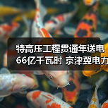 特高压工程贯通年送电66亿千瓦时 京津冀电力输送如何突破极限？（图1）