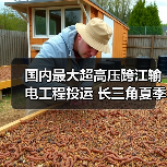 国内最大超高压跨江输电工程投运 长三角夏季供电如何保障？（图2）