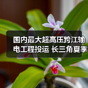 国内最大超高压跨江输电工程投运 长三角夏季供电如何保障？（图3）