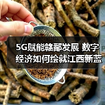 5G赋能赣鄱发展 数字经济如何绘就江西新蓝图?(图4) 5G赋能赣鄱发展 数字经济如何绘就江西新蓝图?(图4)