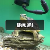 提现规则(图2) 提现规则(图2)
