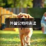 外国公司问责法(图3) 外国公司问责法(图3)