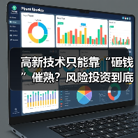 高新技术只能靠“砸钱”催熟?风险投资到底是不是科技创新的万能钥匙?(图3) 高新技术只能靠“砸钱”催熟?风险投资到底是不是科技创新的万能钥匙?(图3)